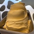 Vanilla Custard